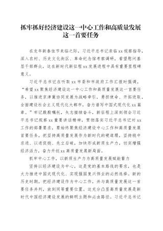 抓牢抓好经济建设这一中心工作和高质量发展这一首要任务