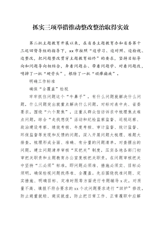抓实三项举措推动整改整治取得实效