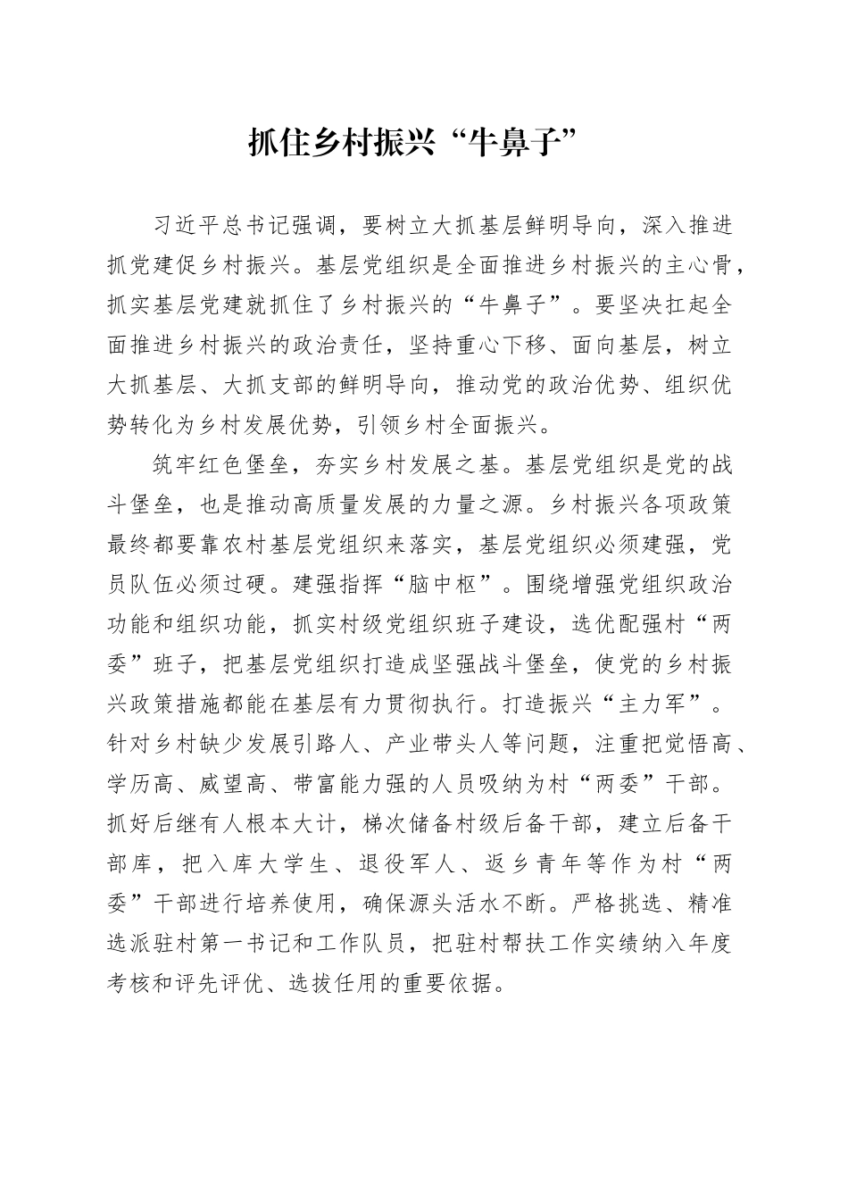 抓住乡村振兴“牛鼻子”_第1页