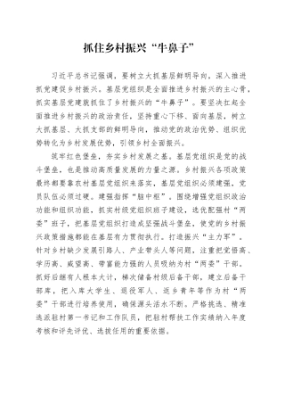 抓住乡村振兴“牛鼻子”