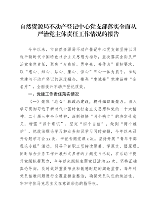 自然资源局不动产登记中心党支部落实全面从严治党主体责任工作情况的报告
