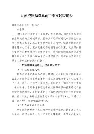 自然资源局党委2024年前三季度述职报告