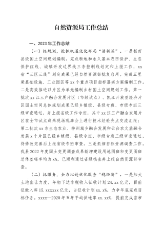 自然资源局工作总结