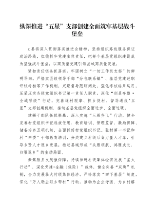纵深推进“五星”支部 创建全面筑牢基层战斗堡垒