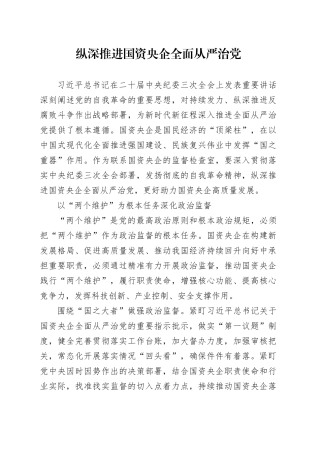 纵深推进国资央企全面从严治党