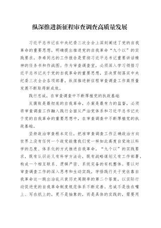 纵深推进新征程审查调查高质量发展