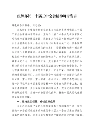 组织部长二十届三中全会精神研讨发言2900字