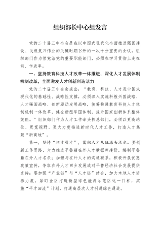 组织部长中心组发言
