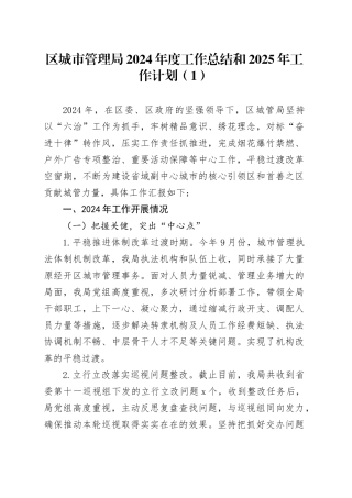 5篇2024年工作总结和2025年工作计划发改司法统计局卫健委汇报报告20241225