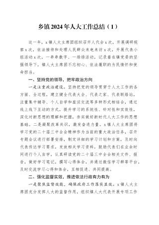 5篇乡镇街道2024年人大工作总结汇报报告20250115