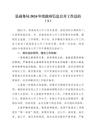 7篇2024年政务公开工作总结政府信息汇报报告单位20241218