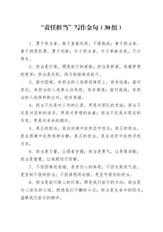 30组责任担当写作金句20241113