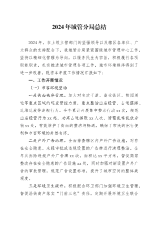 2024年城管分局总结
