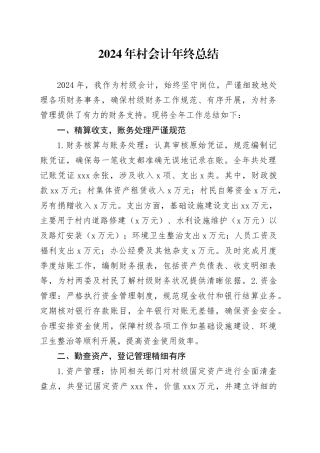 2024年村会计年终总结
