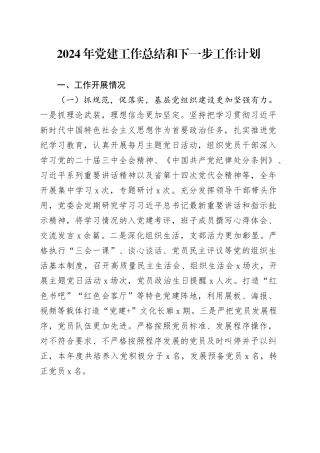 2024年党建工作总结和下一步工作计划20250101