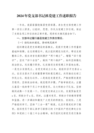 2024年党支部书记抓党建工作述职报告总结范文20241218