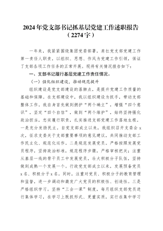 2024年党支部书记抓基层党建工作述职报告（2274字）20241218