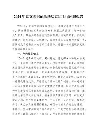 2024年党支部书记抓基层党建工作述职报告20241218