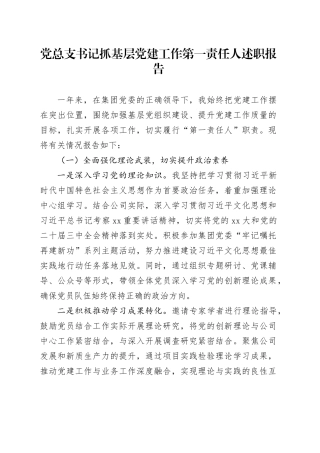 2024年党总支书记抓基层党建工作第一责任人述职报告