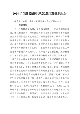 2024年党组书记抓基层党建工作述职报告20250103