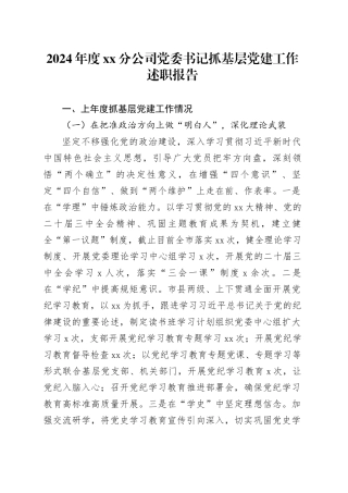 2024年度XX分公司党委书记抓基层党建工作述职报告