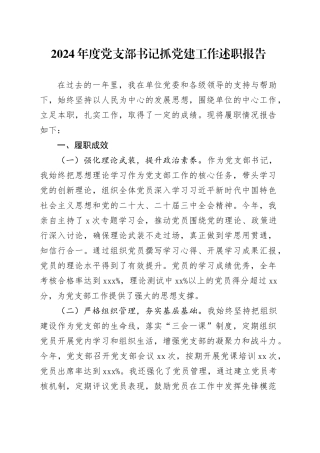 2024年度党支部书记抓党建工作述职报告
