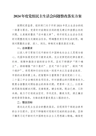 2024年度党组民主生活会问题整改落实方案20250312