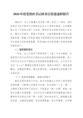 2024年度党组织书记抓基层党建述职报告