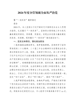 2024年度分管领域全面从严治党暨“一岗双责”履职情况报告