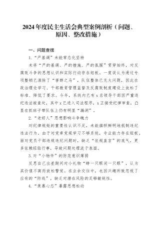 2024年度民主生活会典型案例剖析（问题、原因、整改措施）20250219