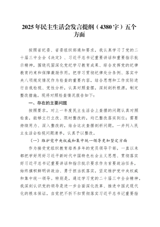 2024年度民主生活会发言提纲（4380字）五个方面