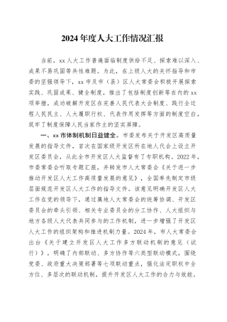 2024年度人大工作情况汇报