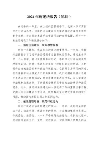 2024年度述法报告（镇长）