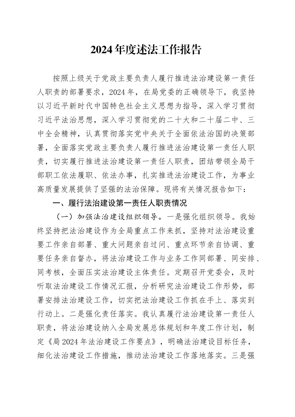 2024年度述法工作报告_第1页