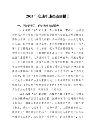 2024年度述职述德述廉报告（2）