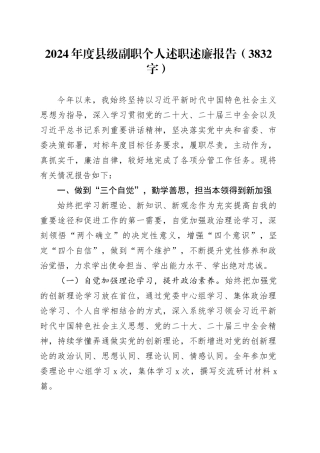 2024年度县级副职个人述职述廉报告（3832字）