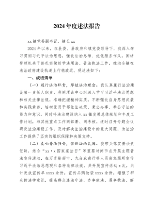 2024年度镇镇长述法报告