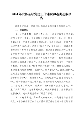 2024年度抓基层党建工作述职和述责述廉报告