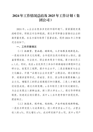 2024年工作情况总结及2025年工作计划（集团公司）