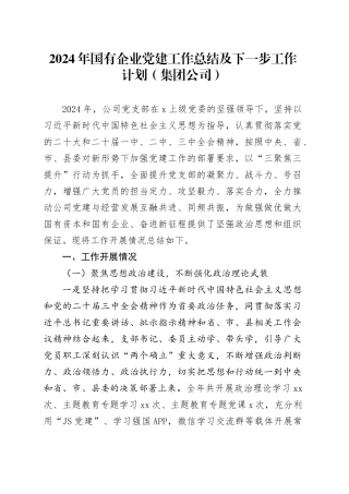 2024年国有企业党建工作总结及下一步工作计划（集团公司）