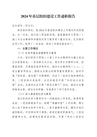 2024年基层组织建设工作述职报告