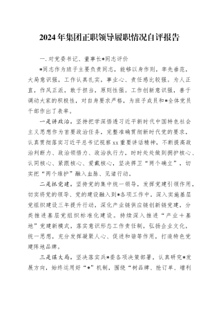 2024年集团正职领导履职情况自评报告