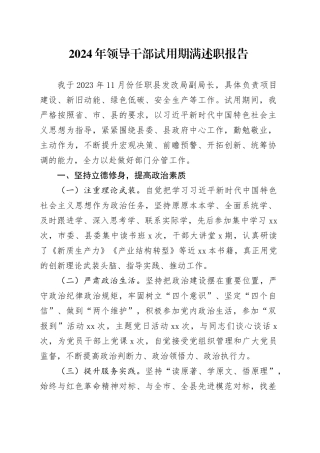 2024年领导干部试用期满述职报告