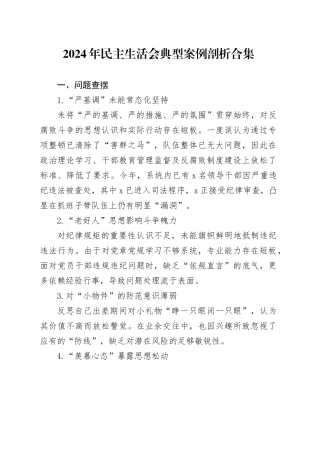 2024年民主生活会典型案例剖析合集