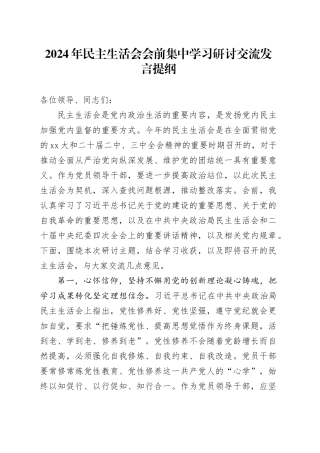 2024年民主生活会会前集中学习研讨交流发言提纲
