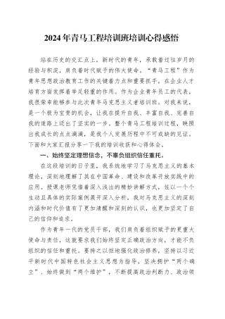 2024年青马工程培训班培训心得感悟