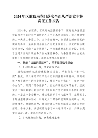 2024年区财政局党组落实全面从严治党主体责任工作报告20241225