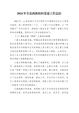 2024年全县两新组织党建工作总结