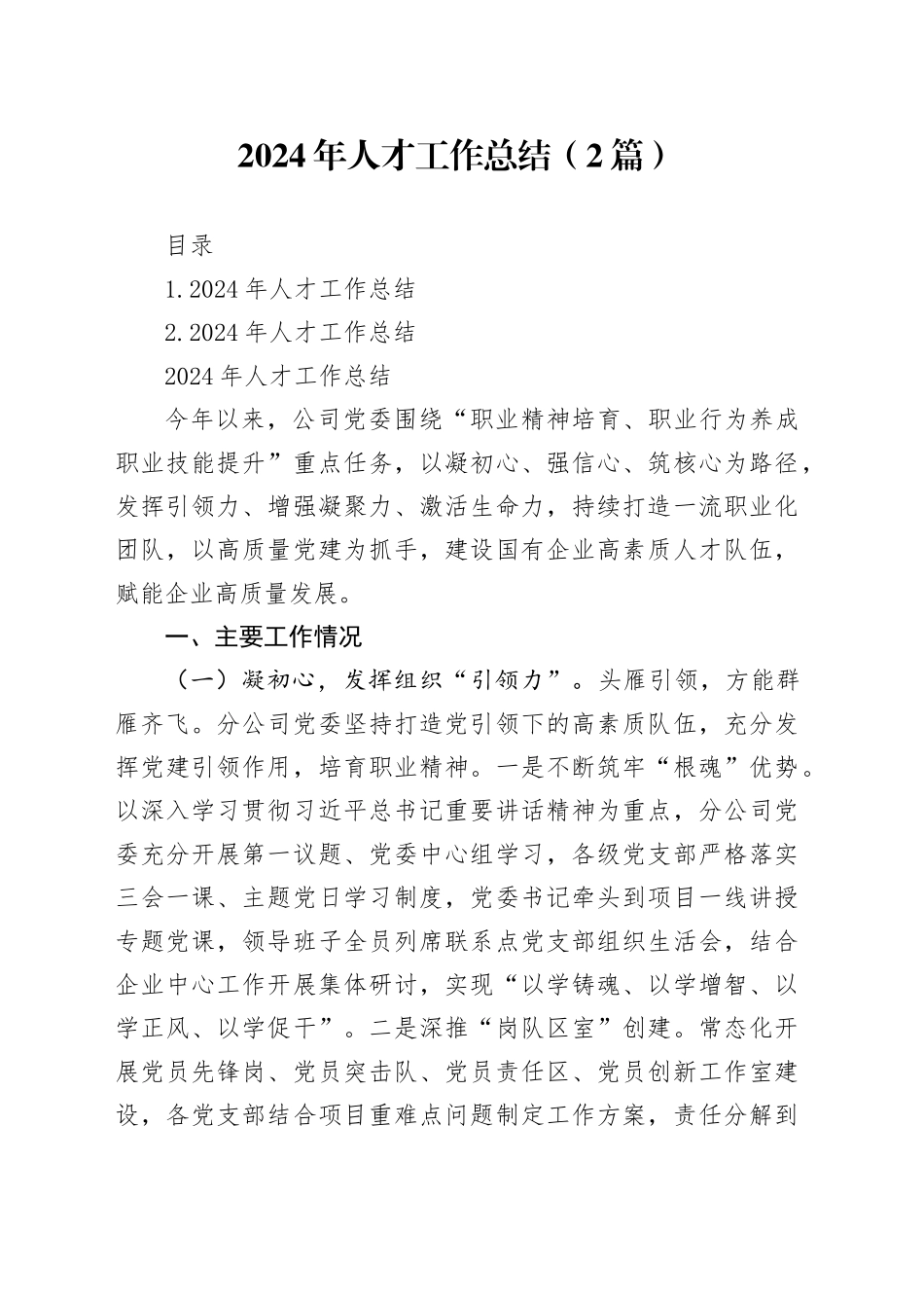 2024年人才工作总结（2篇）_第1页