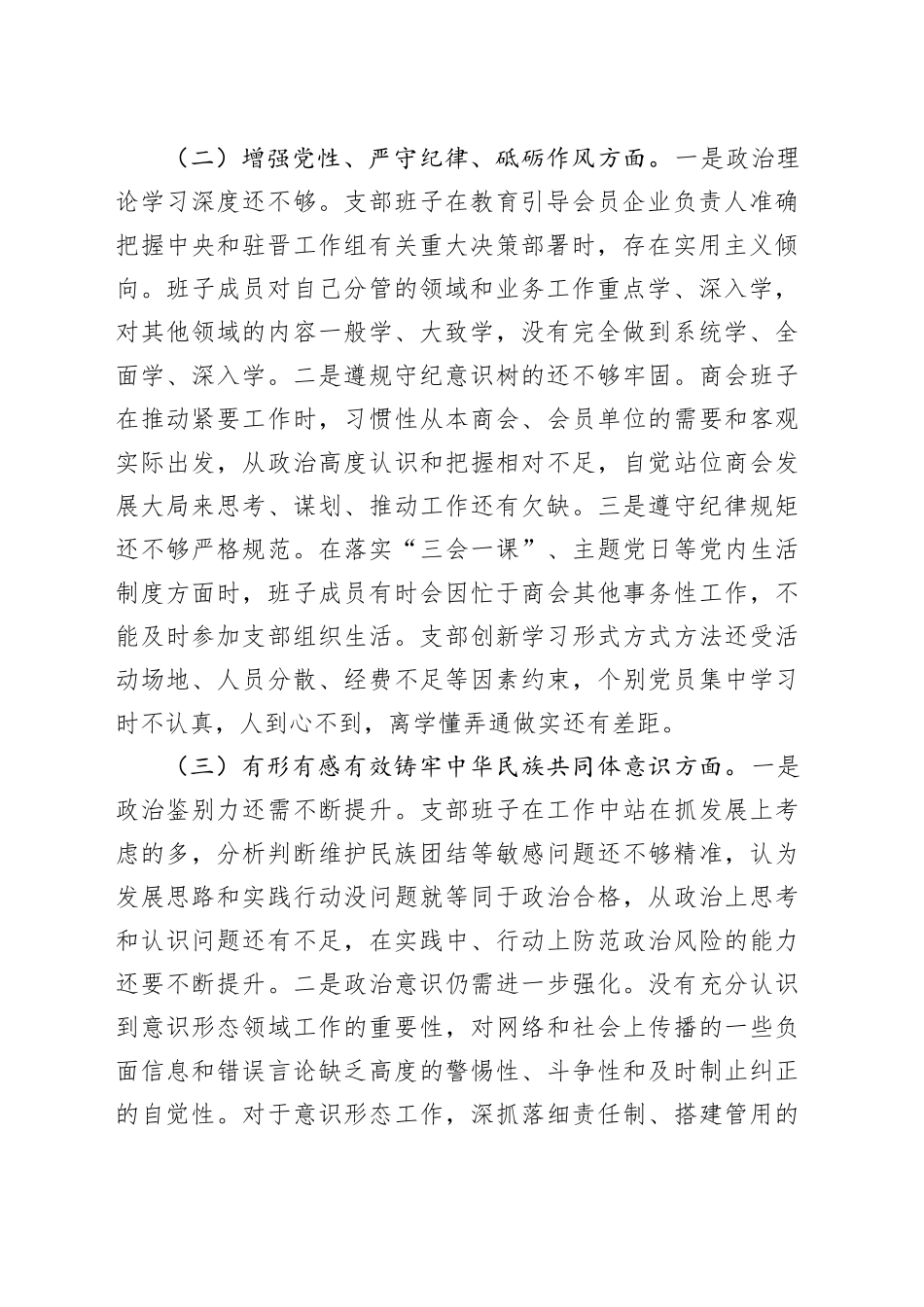 2024年商会支部班子对照检查材料_第2页
